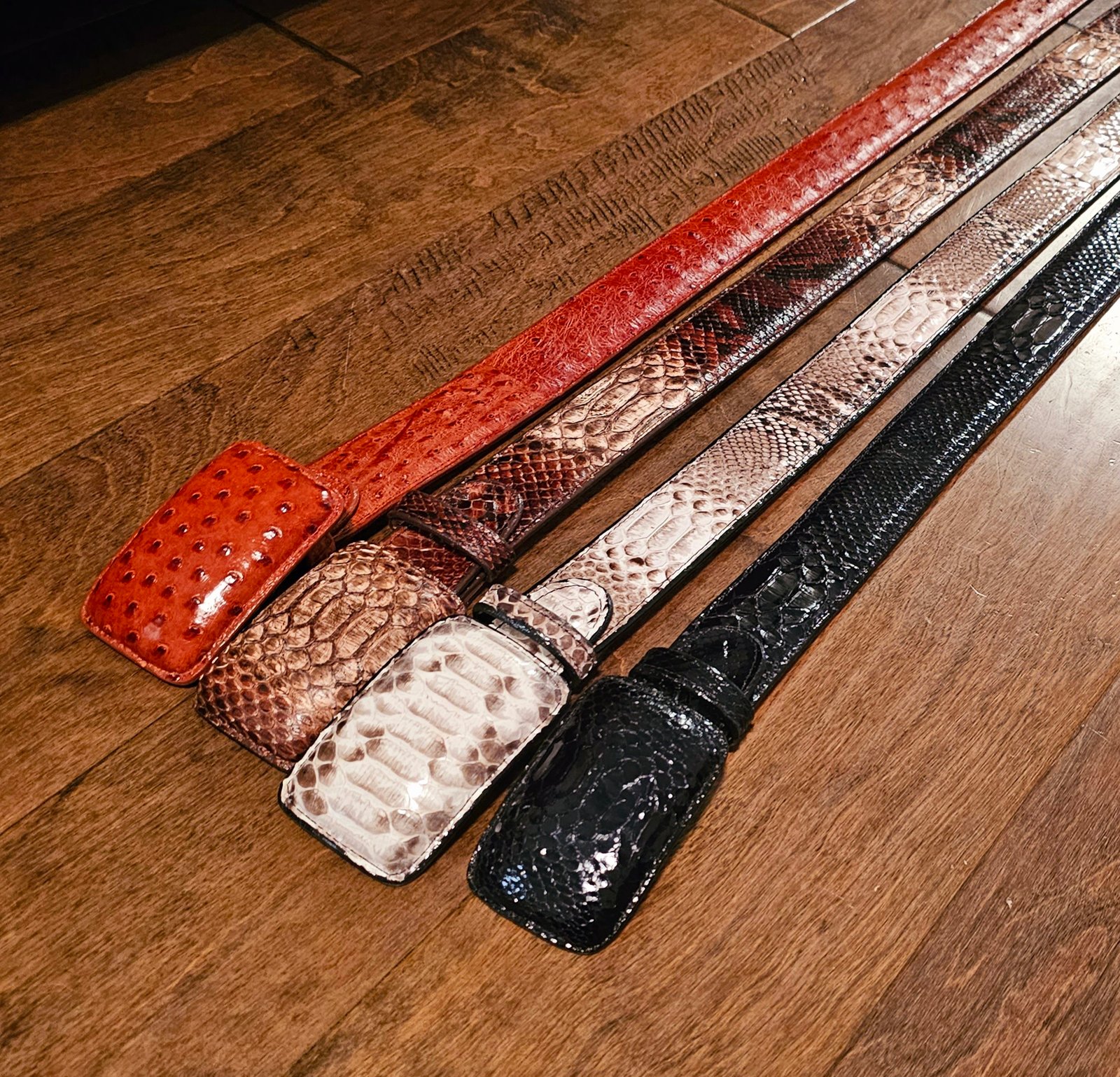 Exotic Rust Ostrich