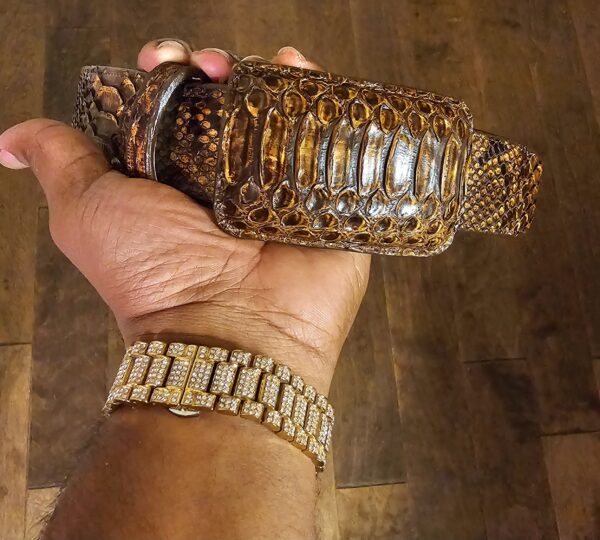 Exotic goldish brown Python
