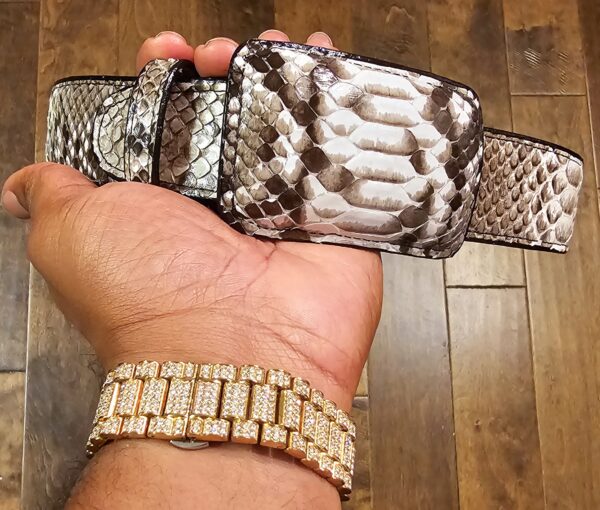 Exotic White Python